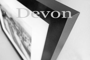 Devon